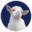 AI Notes