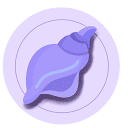 Conch AI
