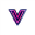 Vidgo AI